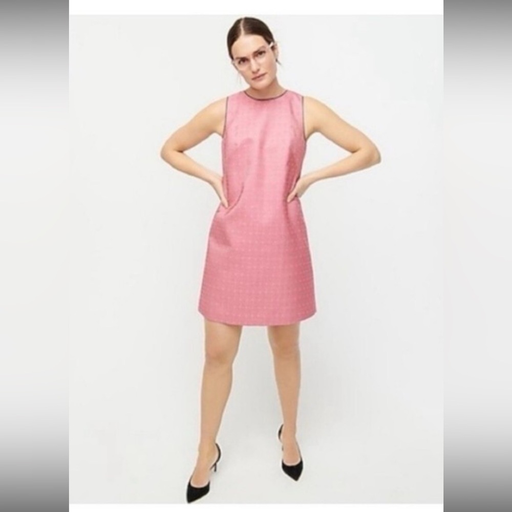J. Crew Pink Paisley Dress NWT
